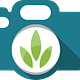  The Photo Detective News