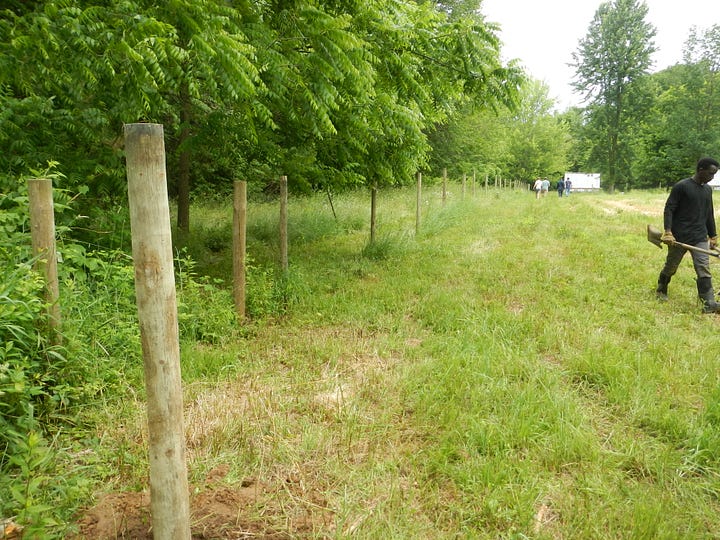 Wood fence posts installation - Sheep Pasture