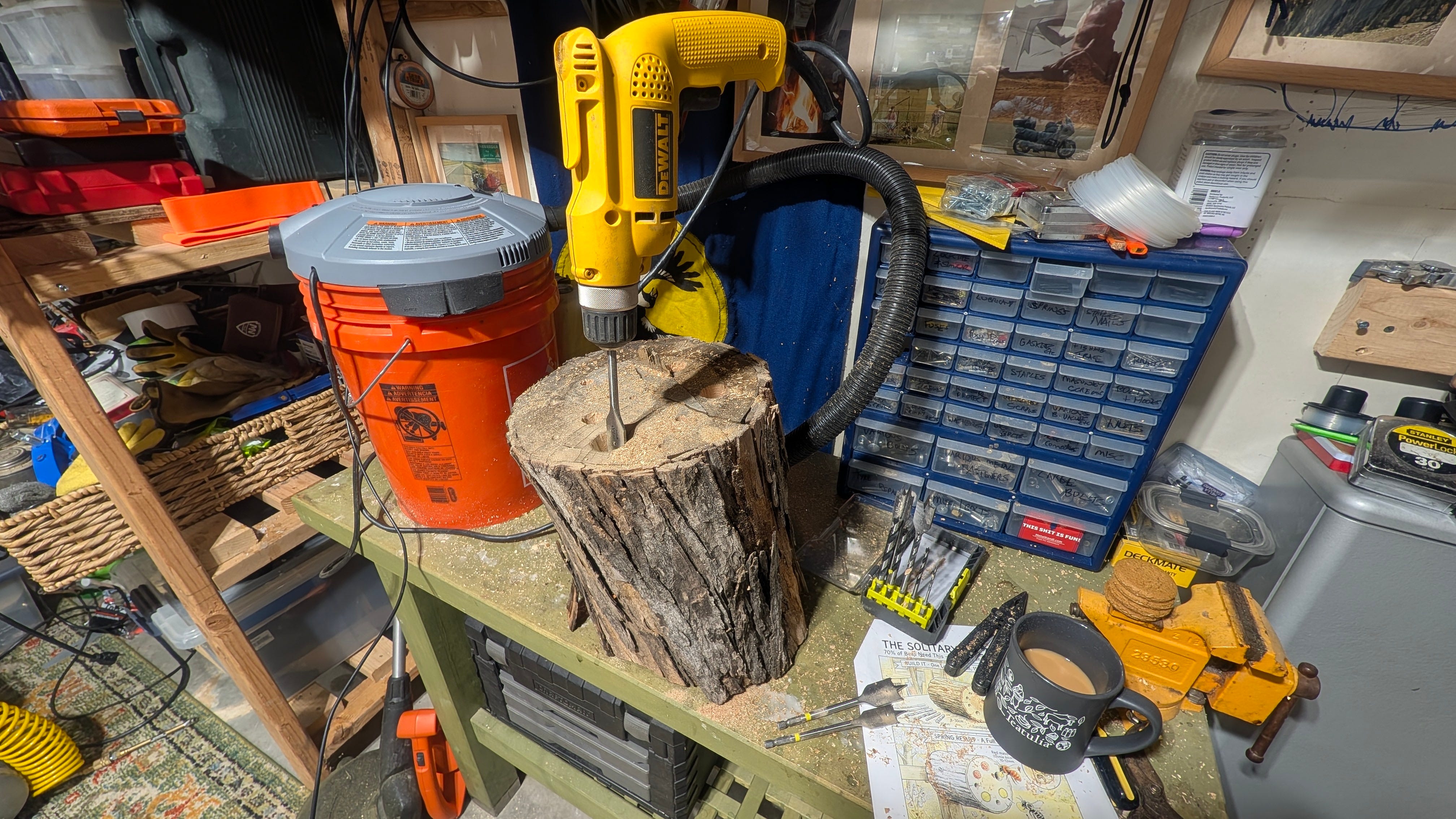 EarthStuff - Trying a solitary bee log for our urban garden...