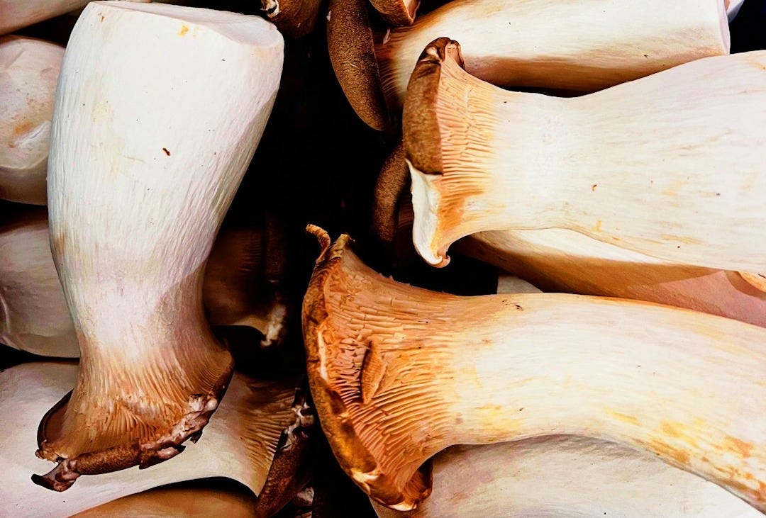 Here's a possible caption: a pile of king oyster mushrooms. Here's a possible caption: a pile of king oyster mushrooms.