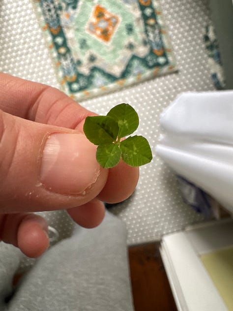 Winnie - Mayima for 50 - the scent of fish in the air - tiny luck - my sentiment on shared stalls - me and the Boba - greetings at the coast - fresh - tea that nails it