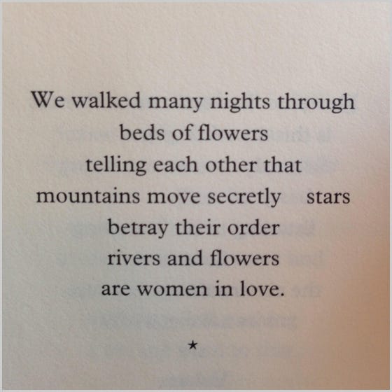 Etel Adnan | Malvern Books