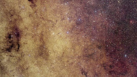 Have you ever seen so many stars?