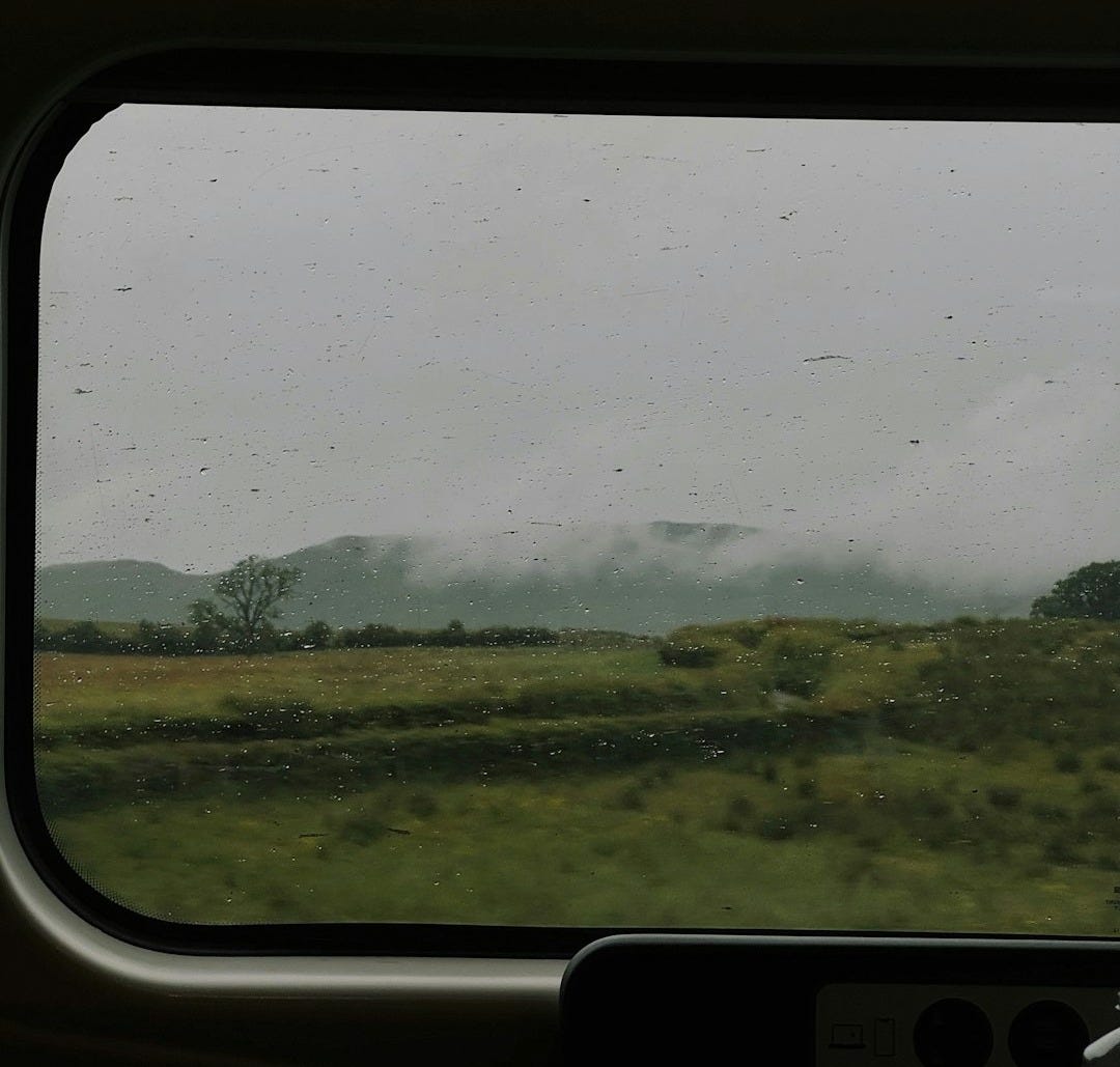 A view of a field from inside a vehicle