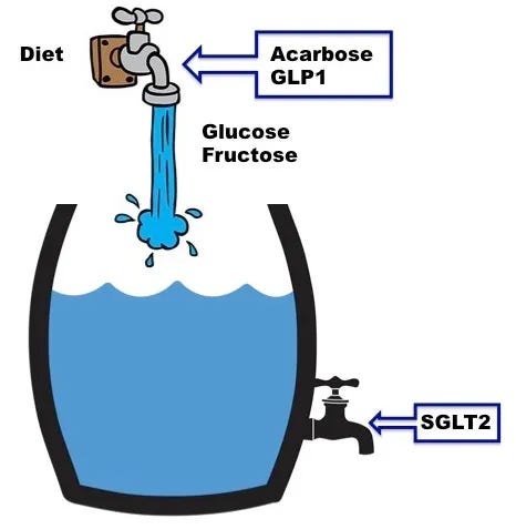 acarbose glp-1 Medications that actually help with Type 2 Diabetes