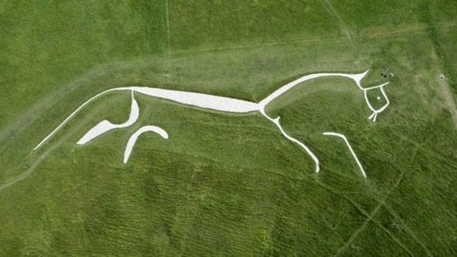 This may contain: an aerial view of a horse drawn in the middle of a green field with grass