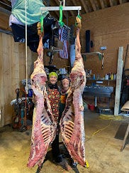 Three photos show various stages of butchering. In the first, two bulls stand inside a barn with way, and a third cow is behind a fence in the distance. The second photo shows two people standing behind the carcass of a butchered cow, and the third shows cuts of fresh meat on a table.
