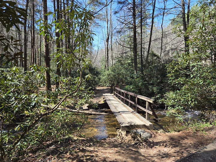 (Note that that hiker in the trail photos isn't me)