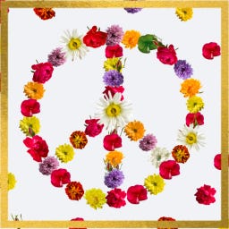 Chasing the Seventies a/k/a Becoming Liliana Perez