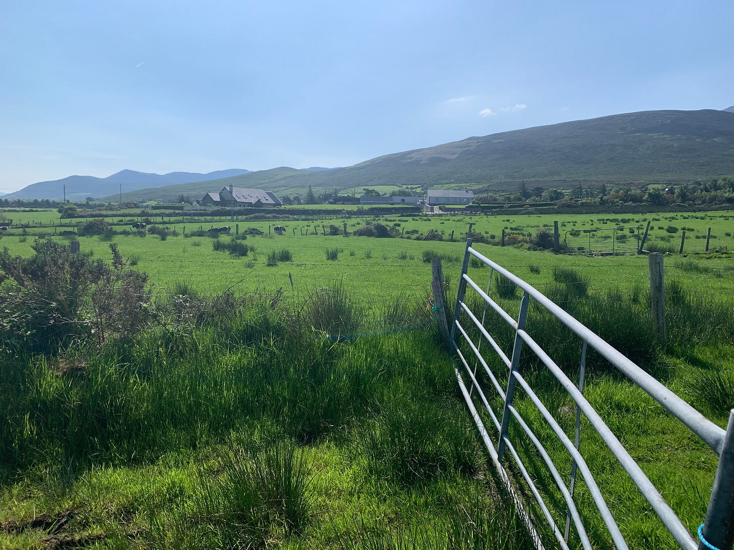 A green pasture in the Ring of Kerry, Ireland