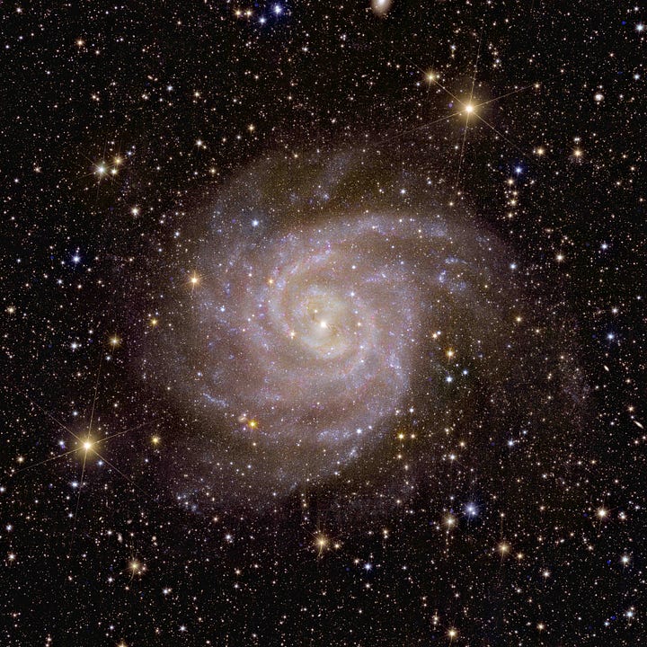 Euclid photos
