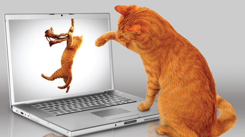 On Blake Snyder's SAVE THE CAT - The Script Blog