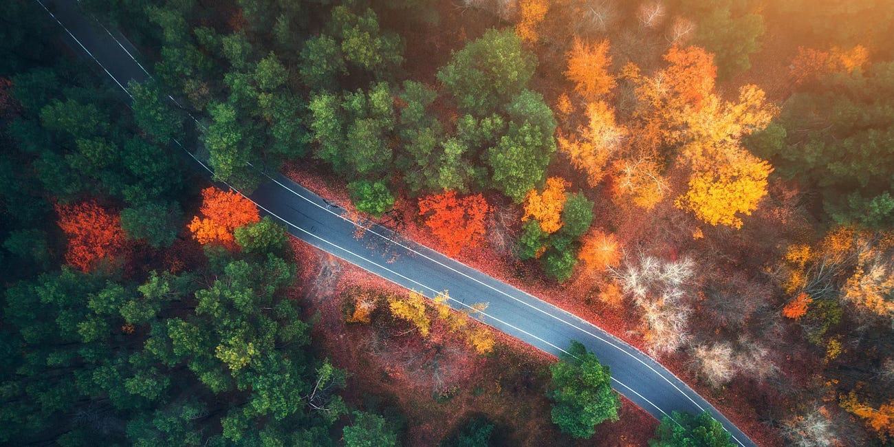 Cum slăbești fără să faci nimic special