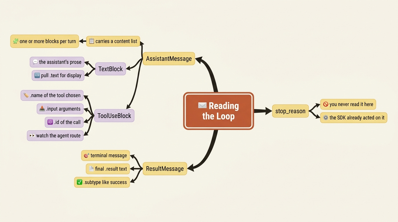 A mindmap of how you read the loop: AssistantMessage and its blocks (TextBlock, ToolUseBlock), the terminal ResultMessage, and the stop_reason the SDK reads so you do not have to. A mindmap of how you read the loop: AssistantMessage and its blocks (TextBlock, ToolUseBlock), the terminal ResultMessage, and the stop_reason the SDK reads so you do not have to.