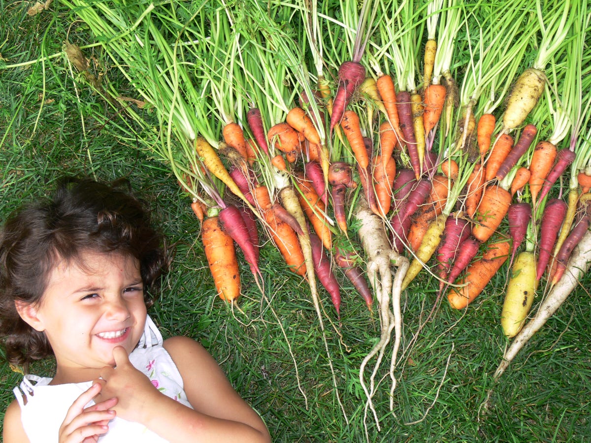 a young girl and a variety of carrots lying on the grass
