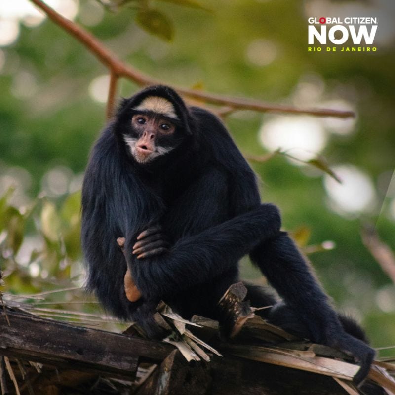 No alternative text description for this image