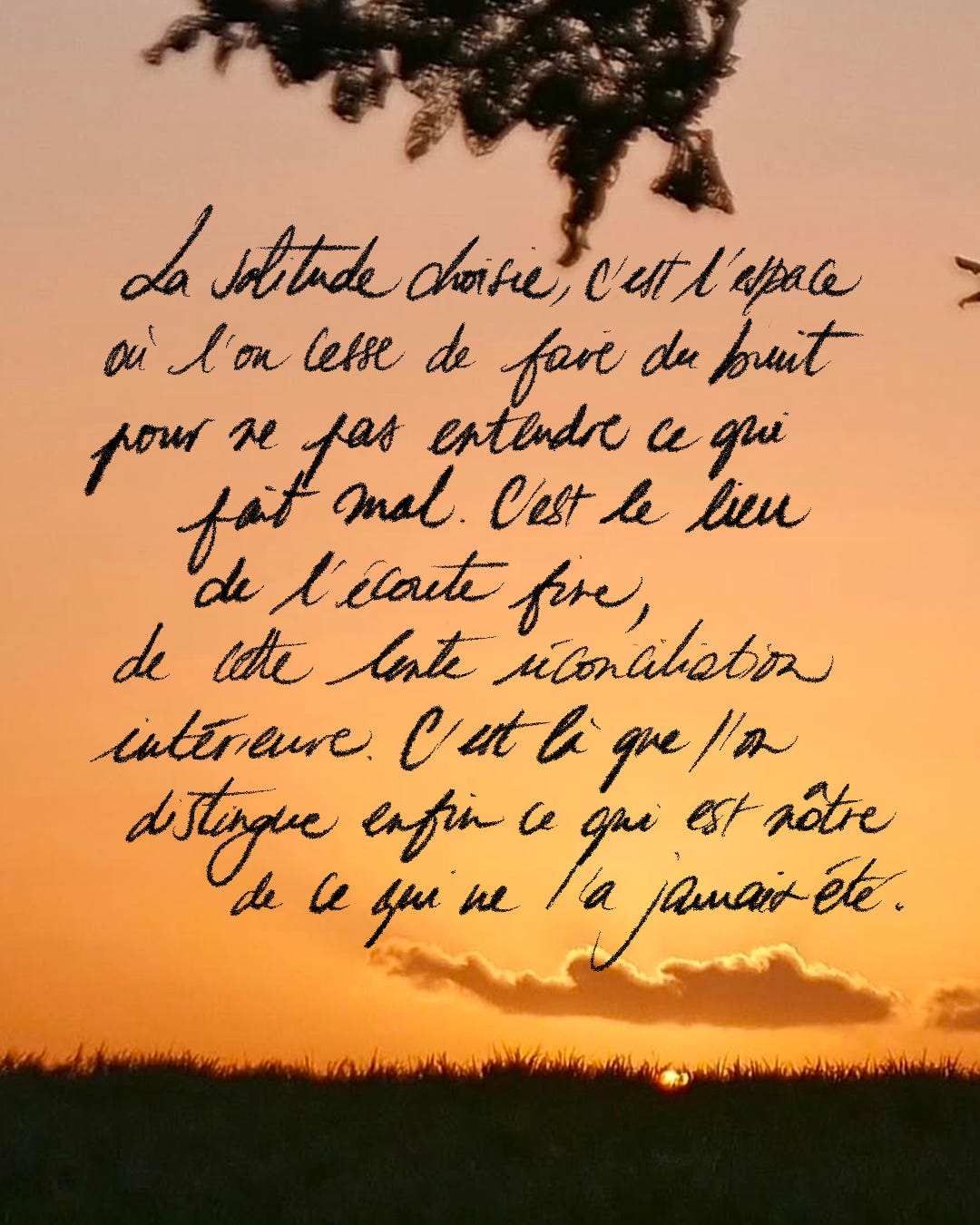 Tout commence avec le désir : r/inspirationalquotes, image size:1080x1350