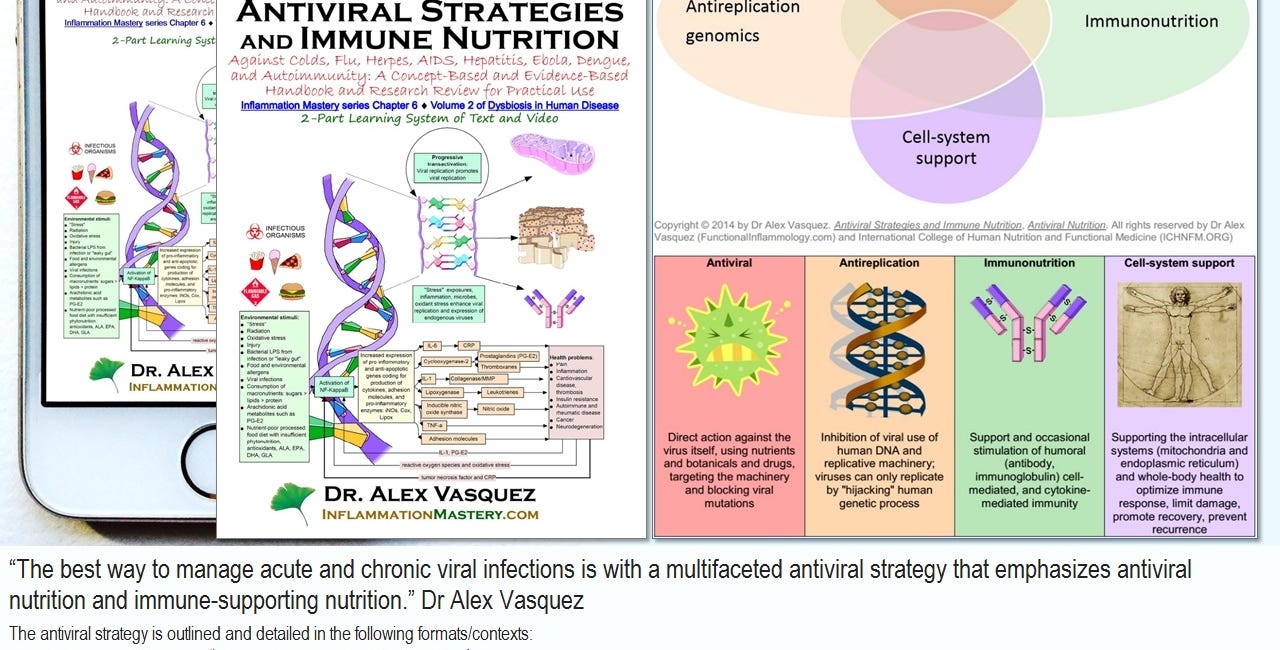 [Updated in 2025] Six (6!) VIDEOS and Seven (7!) PDF articles on ANTIVIRAL STRATEGIES: Core Knowledge, Key Concepts, and Evidence-Based Interventions