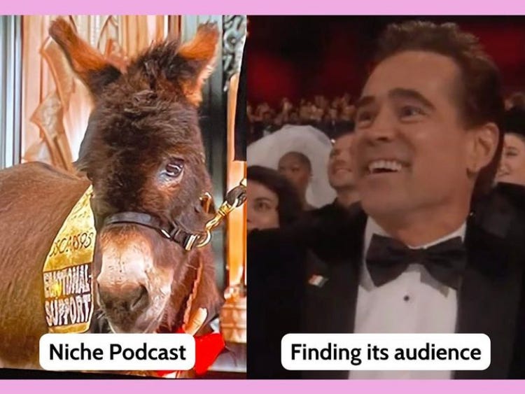 Jenny the Donkey from Banshees of Inisherin labled niche podcast. Colin Farrell smiling at her labeled finding its audience Jenny the Donkey from Banshees of Inisherin labled niche podcast. Colin Farrell smiling at her labeled finding its audience
