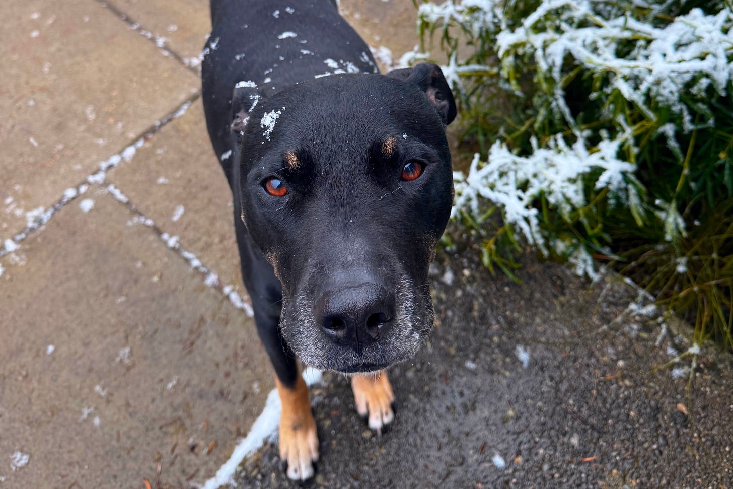 Have you ever met an angel?