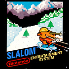 Slalom and Volleyball Bring the Boys to the Yard