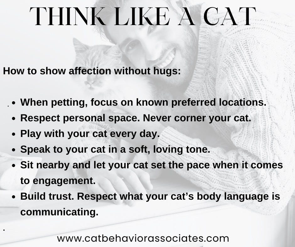 Rules for physically interacting with cats