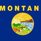 Actual Nazis Use Montana Drag Ban To Get Trans Authors Banned From Reading At Libraries, So That's Bad