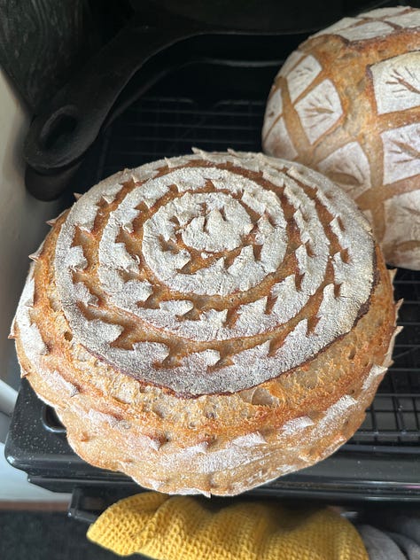 three round loaves of sourdough with different beautiful scoring techniques used. one is a lovely grid with wheat sheaves, one is a portrait of a face, another is an intricate swirl
