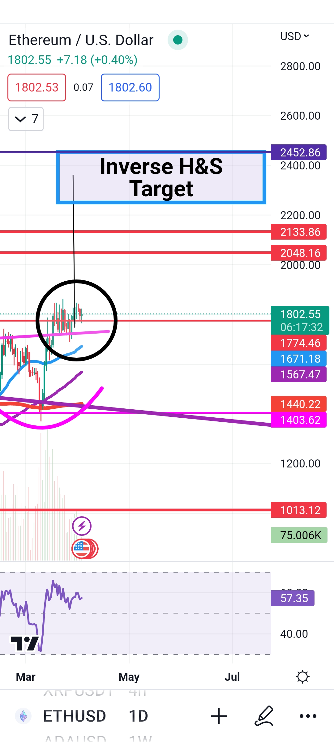 Neckline holding support