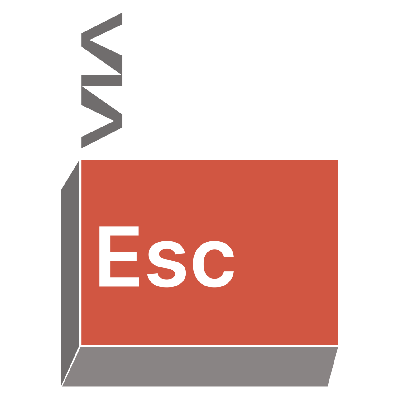 viajante escritor