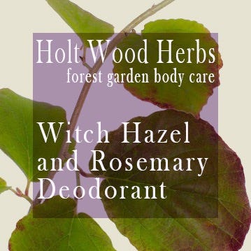 Rosemary and witch hazel leaves with bottle labels