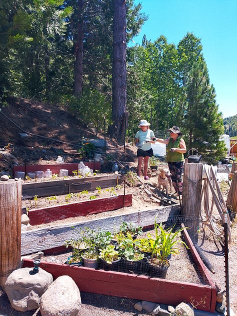 terrace gardens, weatherizing