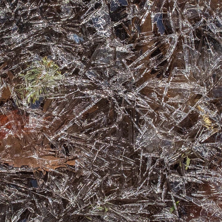 Diptych: Left frozen triangles of ice, brown from leaves below; Frozen ripples of ice, also brown from leaves below.