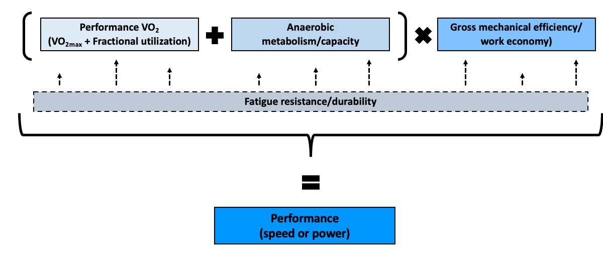 The performance equation: Introducing the key determinants of endurance ...