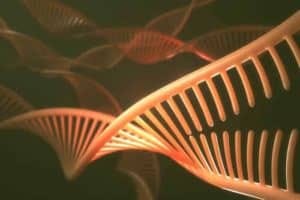 DNA