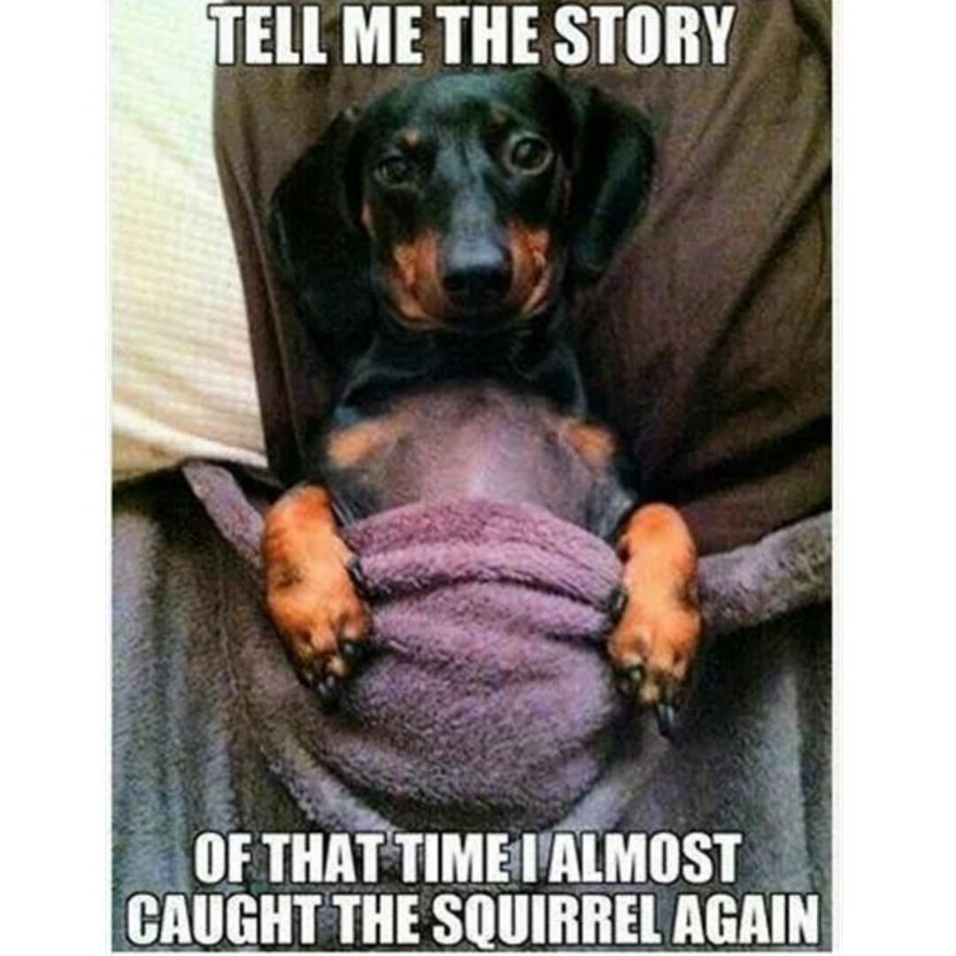 Tell me the story meme - AhSeeit
