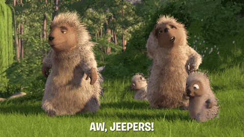 Frustrated Over The Hedge GIF by DreamWorks Animation - Find & Share on  GIPHY