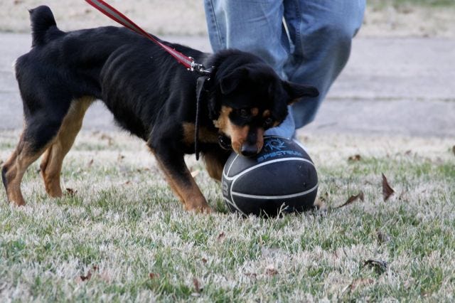 RoZee when she was found RoZee when she was found