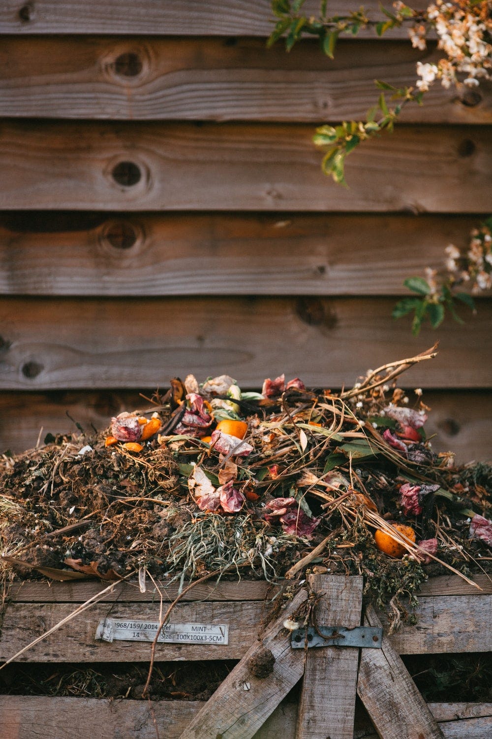 dried leaves on ground beside wooden fence