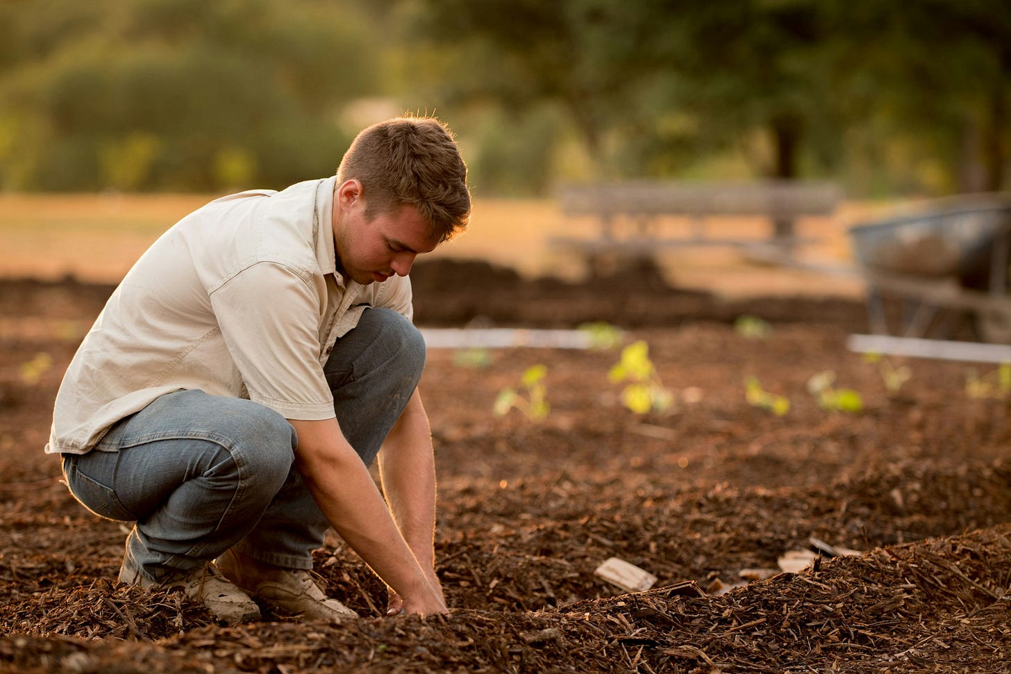 The Parable of the Growing Seed