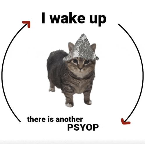 Psyop Cat I Wake Up There Is Another Psyop Meme - Psyop cat I wake up ...