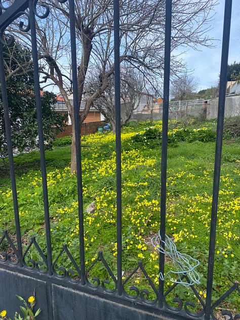 series of images of local neighbourhood in Vila Nova de Gaia