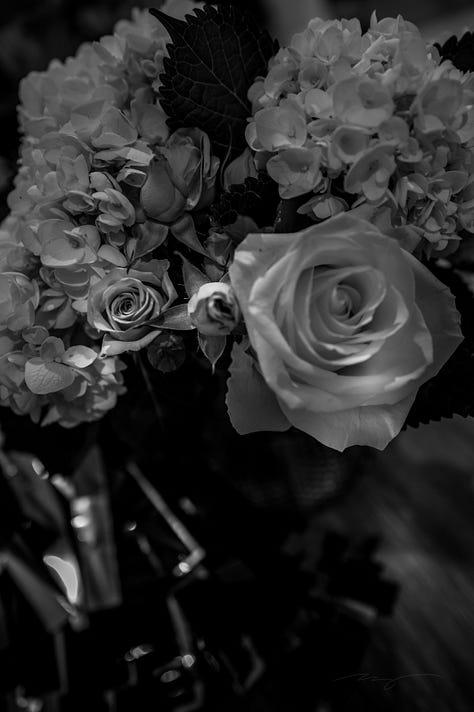 flowers, coffee, and poetry on campus