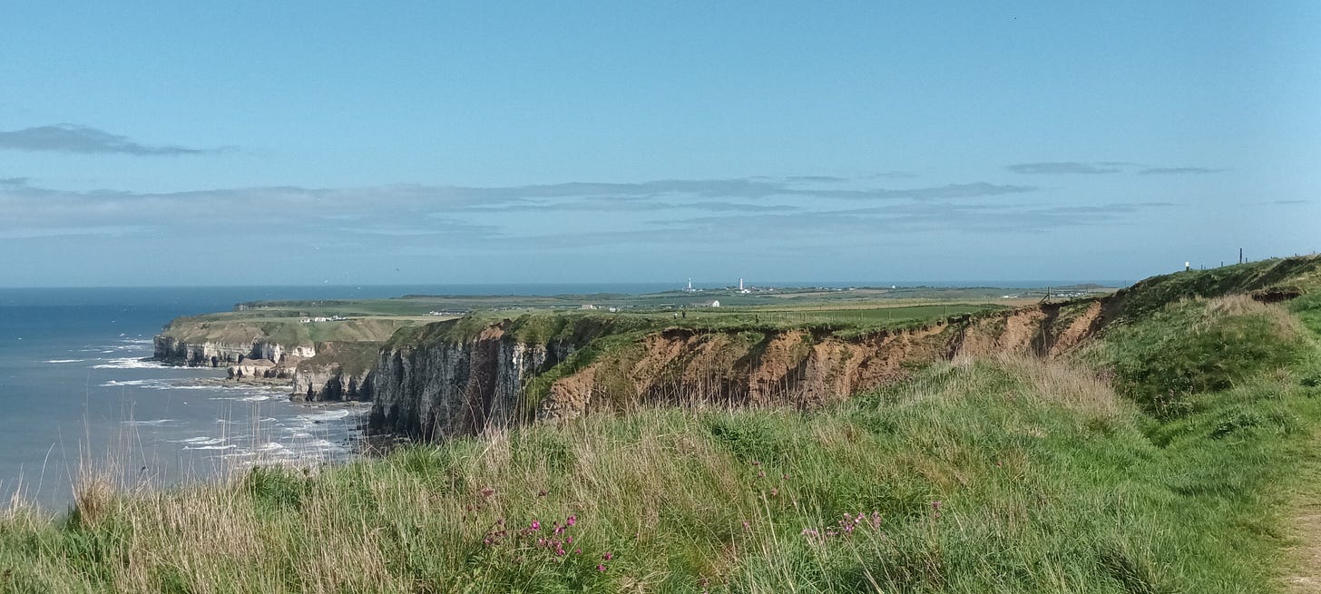 View along the cliffs at Bempton, Flamborough lighthouse is visible in the distance