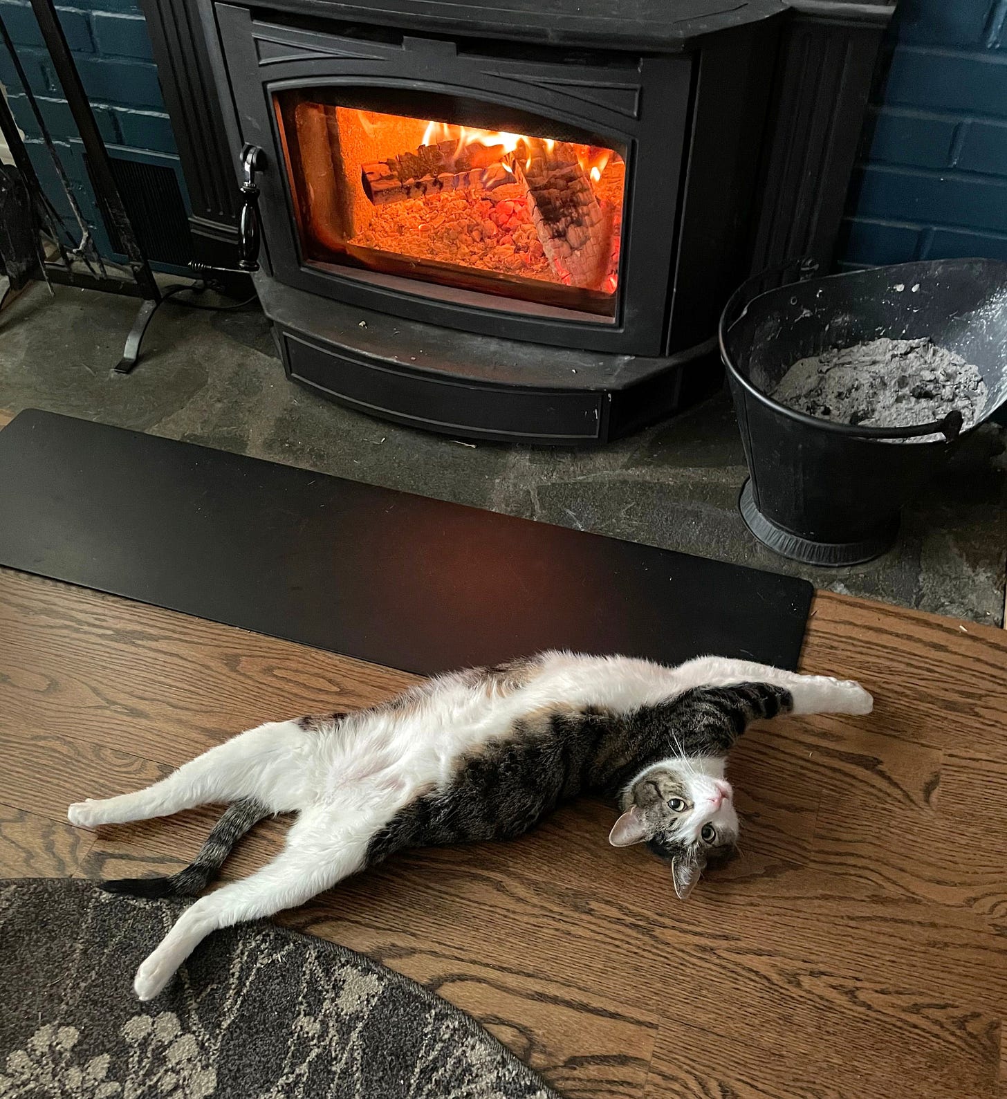 Fritz is in front of the fireplace, lying on their back, fully stretched out and twisted in a way only a cat can twist, looking up with head upside down.