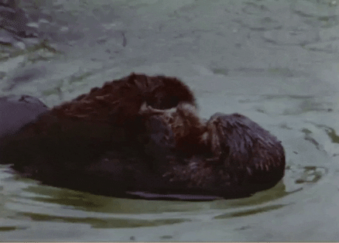 Baby Swimming GIF by US National Archives Baby Swimming GIF by US National Archives