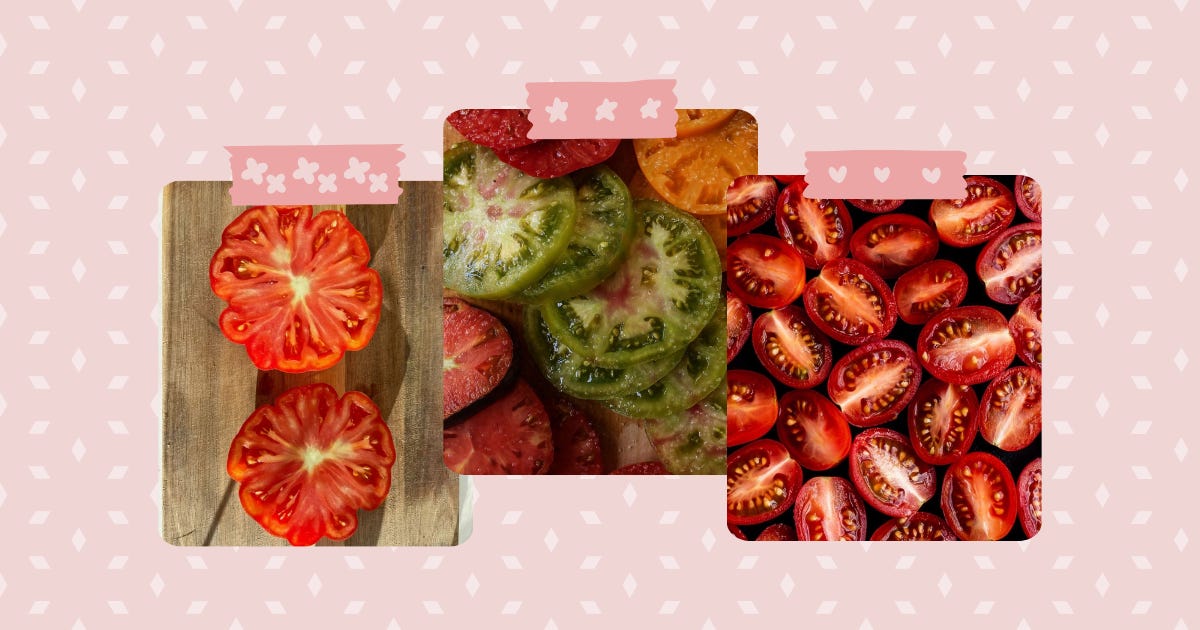 What to Make with All Those Delish Summer Tomatoes