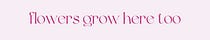 flowers grow here too