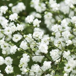 Rachel Schiller - poems and journalish writing