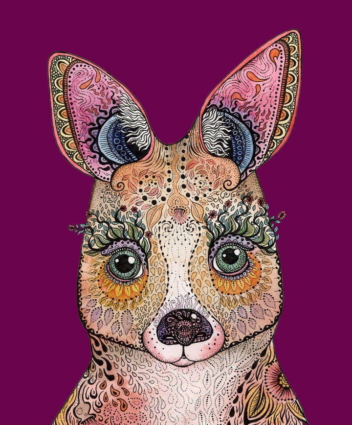 Kangaroo and Rainbow Lorikeet Artworks